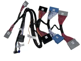 Honda Ver0.2 Remote Start Wire T-harness Ads-hrn Rs Ha8 For Push 2016-up