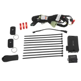 C1F60-AQ116 HYUNDAI Remote Start Wire Transmitter Fobs Kit