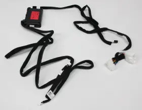 R0F55-AC000 KIA Carnival Interior Lighting Kit #2