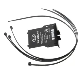 U8562-00014 KIA Remote Start Service Sorento