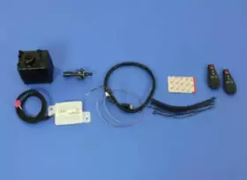 82214545AF MOPAR Remote Start #2