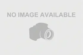 82215865AD MOPAR Remote Start #3