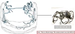 Engine Room Harness Oem 2013 Ford Mustang Dr3z14290aa. Fixed Price $200.00.