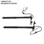 2pcs Oem Genuine Toyota Rav4 2013-2018 Tailgate Lift Supports Struts 6891009010. Fixed Price $119.99.