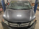 2014-2017 Honda Odyssey Hood. Fixed Price $695.11.