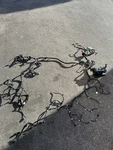 12-15 Honda Civic Lx 1.8l Engine Room Wiring Harness W/fuse Box Oem. Fixed Price $244.99.